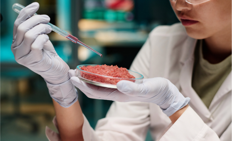 From Petri Dish to Plate: The Rise of Lab-Grown Meat and its Impact on the Future of Food