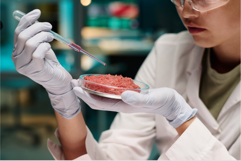 From Petri Dish to Plate: The Rise of Lab-Grown Meat and its Impact on the Future of Food