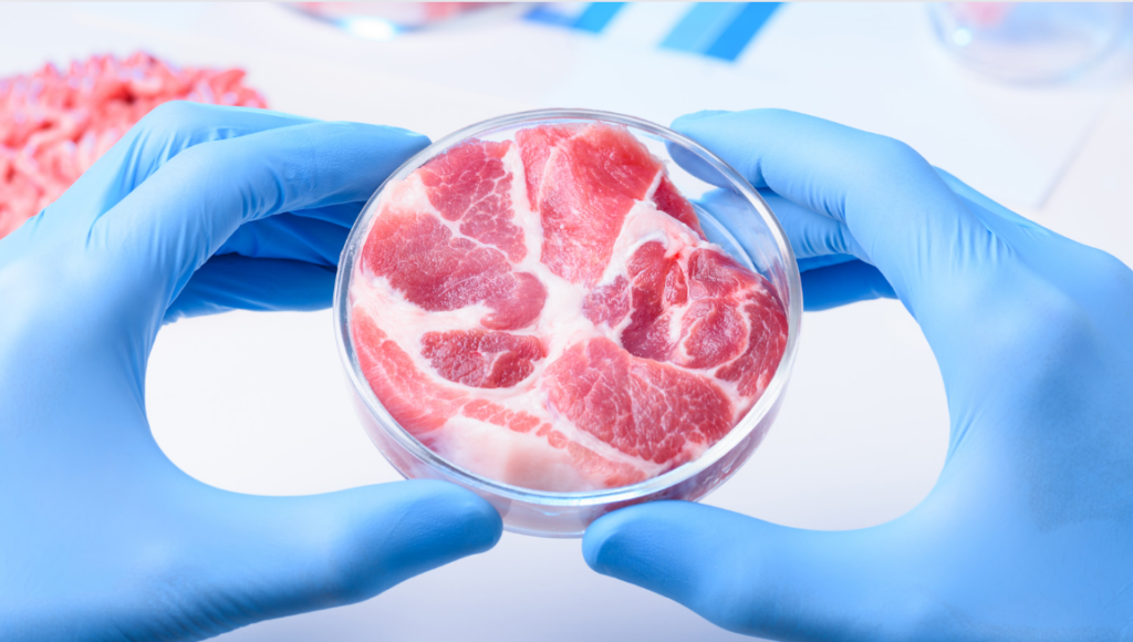 Popularity of Lab-Grown Meat